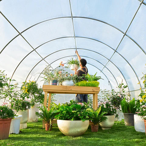 Amerlife Polycarbonate/Tunnel greenhouse