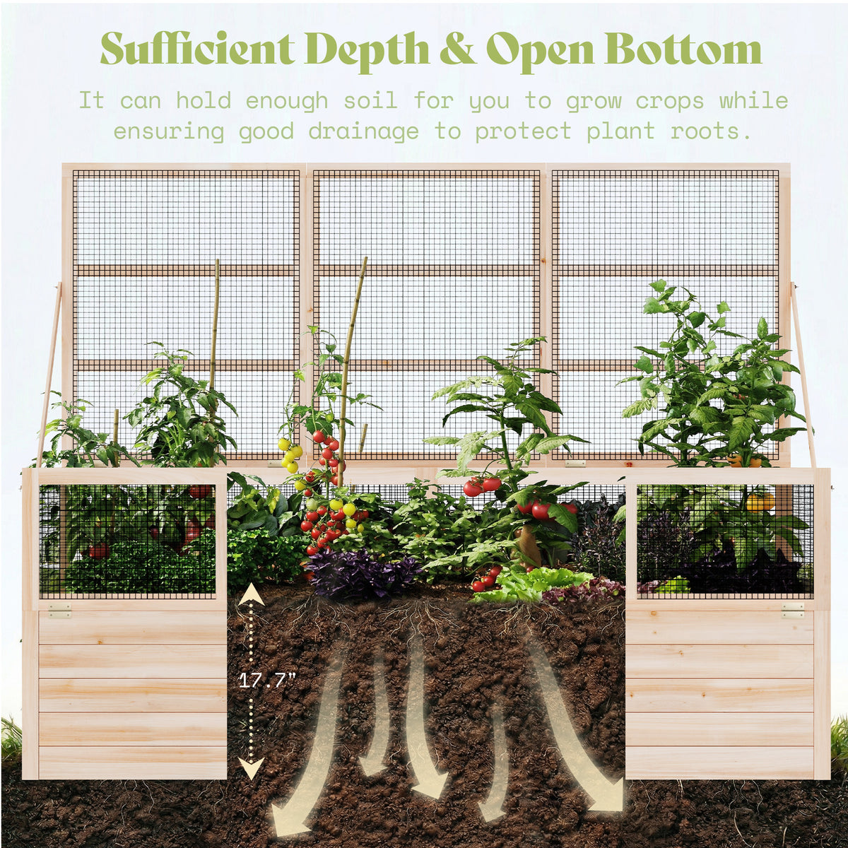 Lid Wood Raised Garden Bed 
