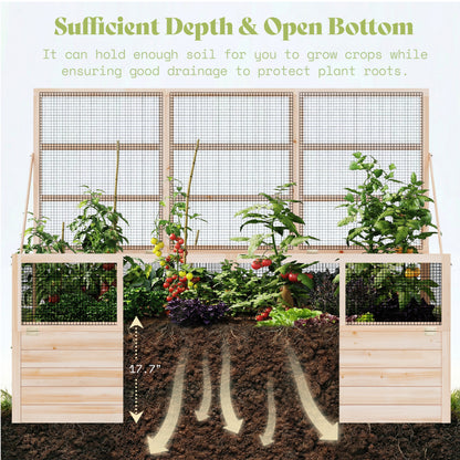 Lid Wood Raised Garden Bed 
