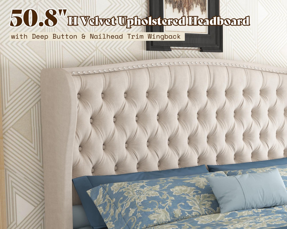 Astoria 51"H Adjustable Bed Frame Amerlife Queen / Cream