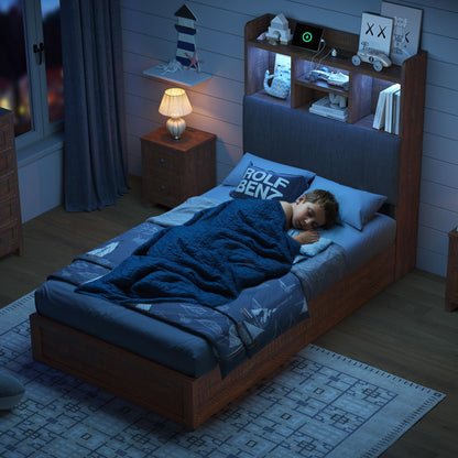 Radcliffe LED Storage Bed Frame - Twin / Rustic Brown