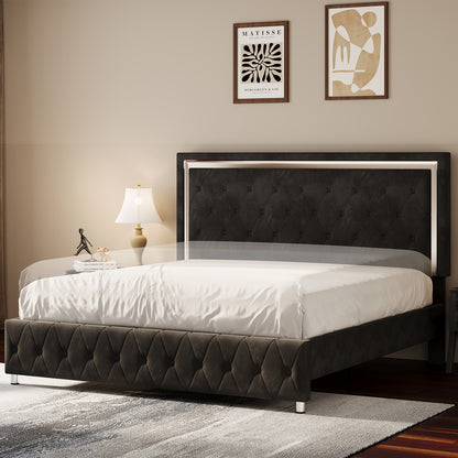 Hues LED Bed Frame-Q-BLACK