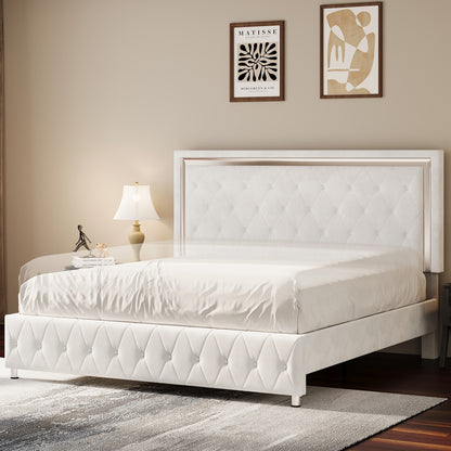 Hues LED Bed Frame-Q-WHITE