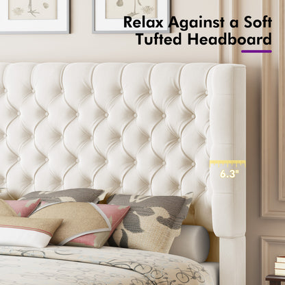 Plush Curved Wingback Bed Frame  - King Bed Beige