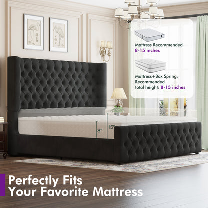Plush Curved Wingback Bed Frame - Queen Bed Black