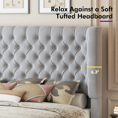 Plush Curved Wingback Bed Frame - Queen Bed Light Gray
