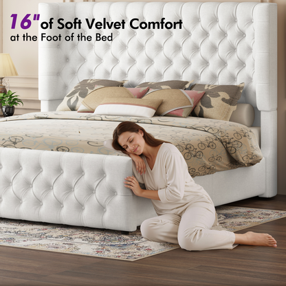 Plush Curved Wingback Bed Frame - Queen Bed White