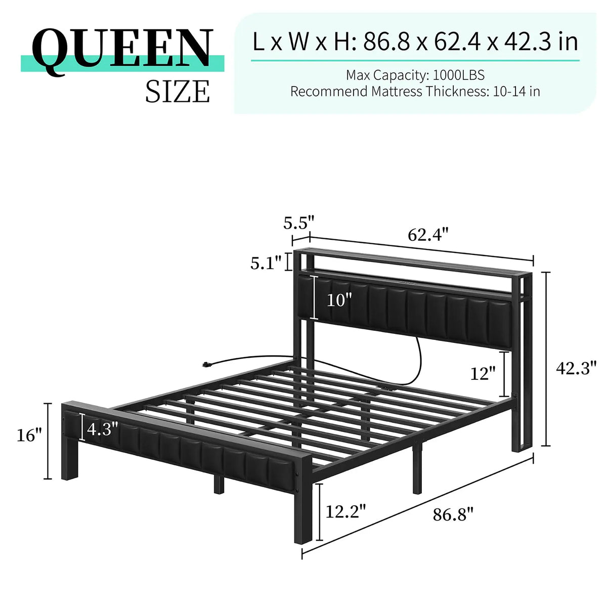 Queen / Black