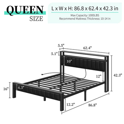 Queen / Black