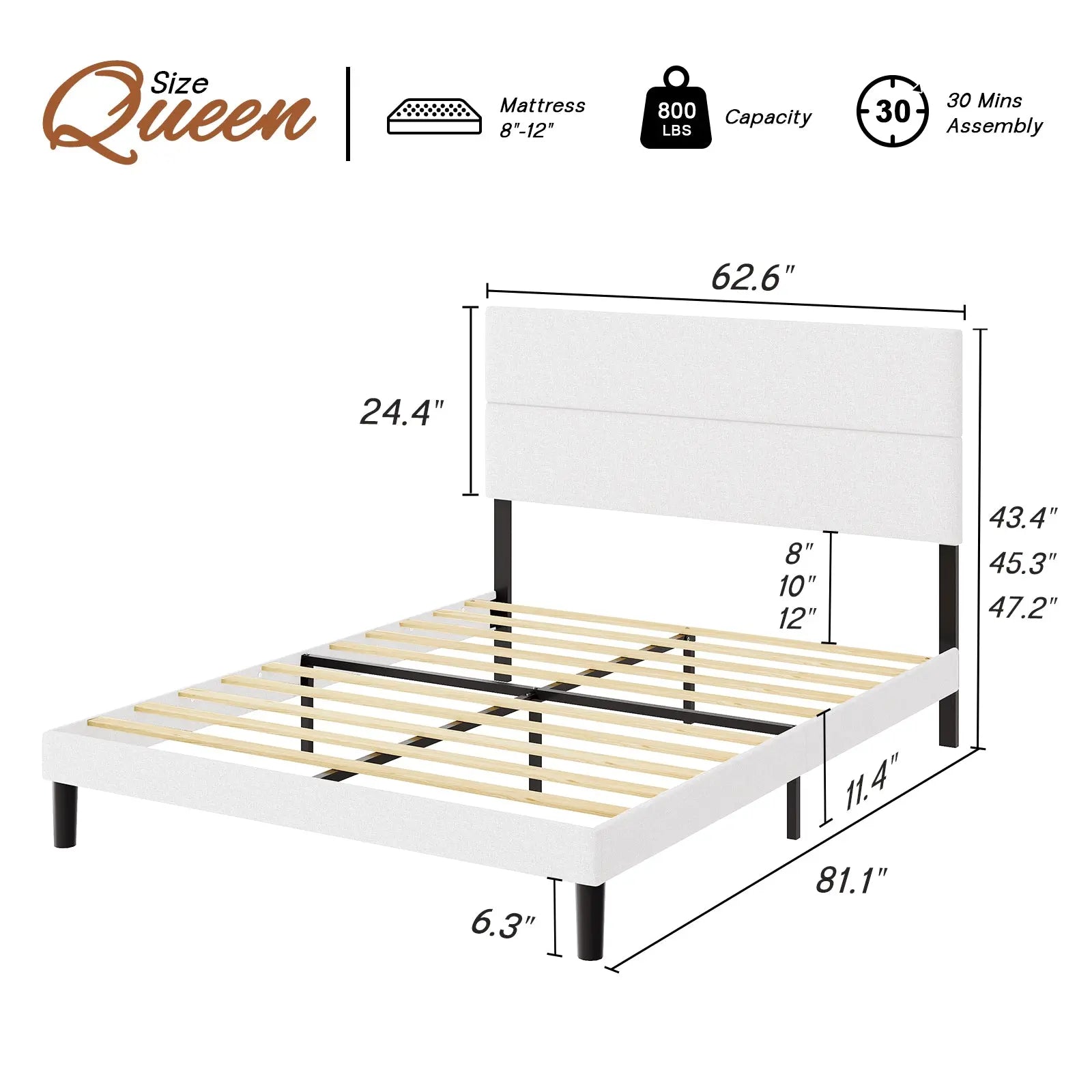 Queen / Cream