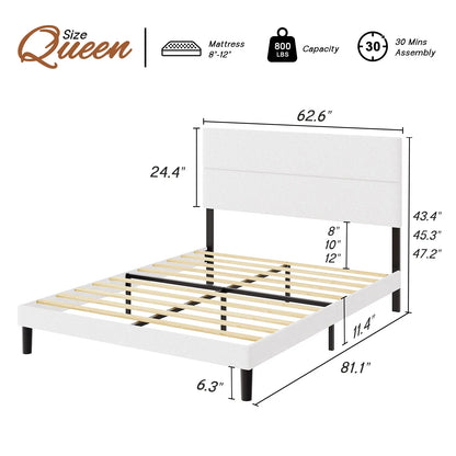 Queen / Cream