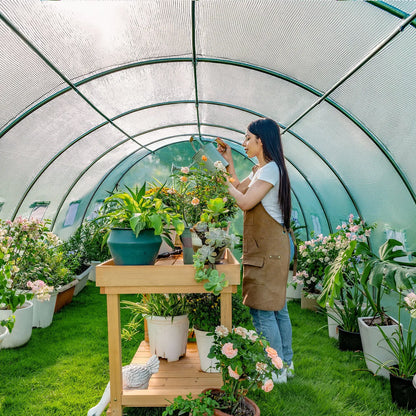 Everglade High Tunnel Greenhouse -20x10x7FT