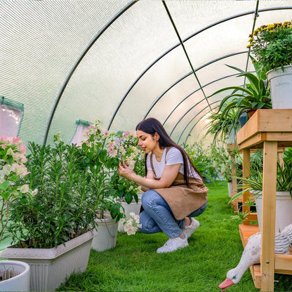 Everglade High Tunnel Greenhouse -20x10x7FT