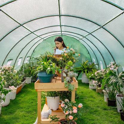 Everglade High Tunnel Greenhouse -26x10x7FT