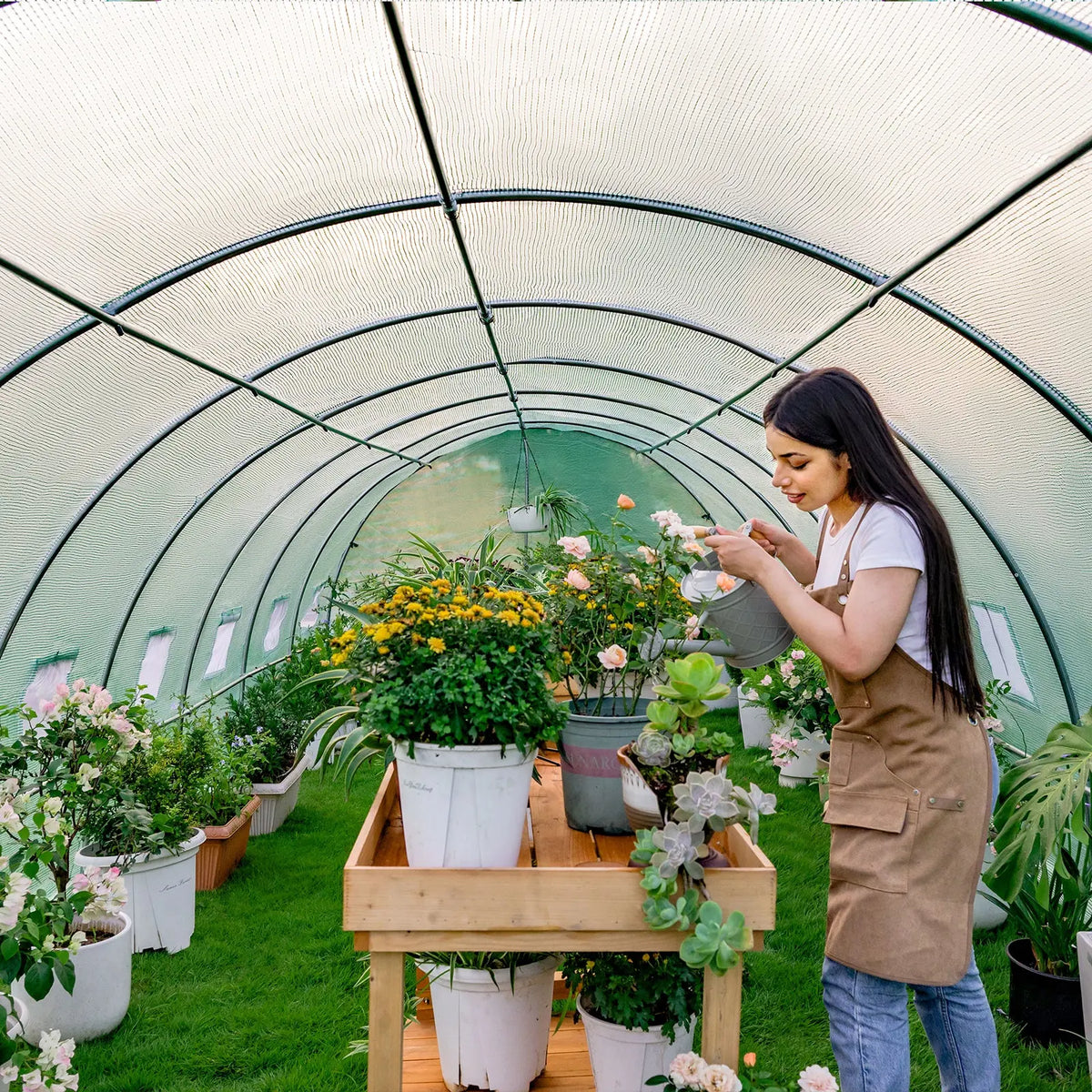 Everglade High Tunnel Greenhouse -26x10x7FT