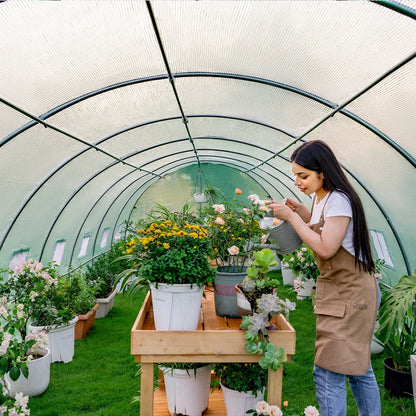 Everglade High Tunnel Greenhouse -26x10x7FT