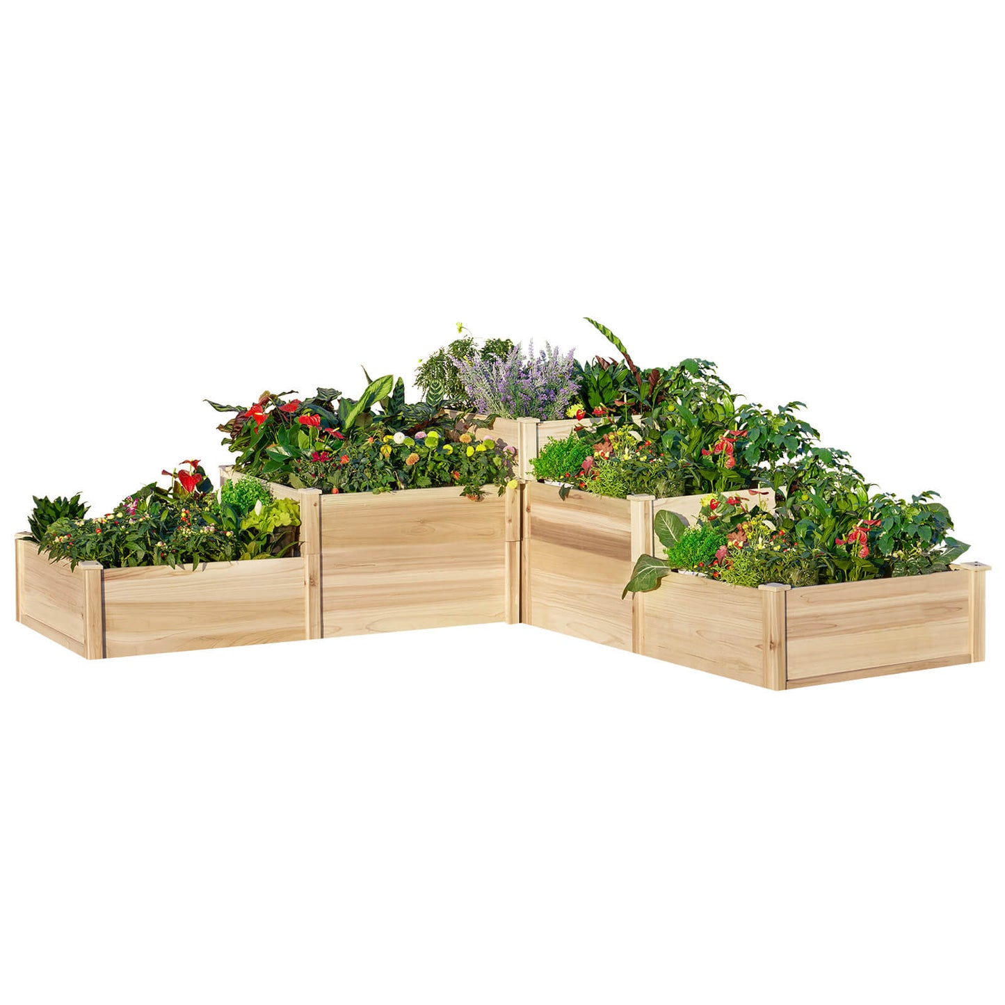 Camellia 3-Tier Raised Bed 