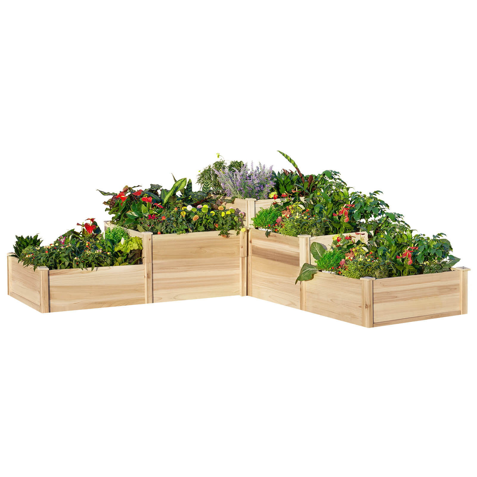 Camellia 3-Tier Raised Bed 