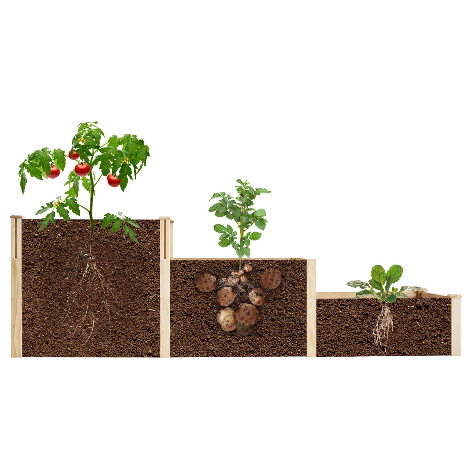 Camellia 3-Tier Raised Bed 