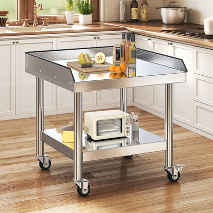 Stainless Steel Equipment Stand Amerlife 25x28inch
