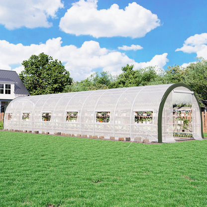 Cedarview Tunnel Greenhouse - 36x10x7FT