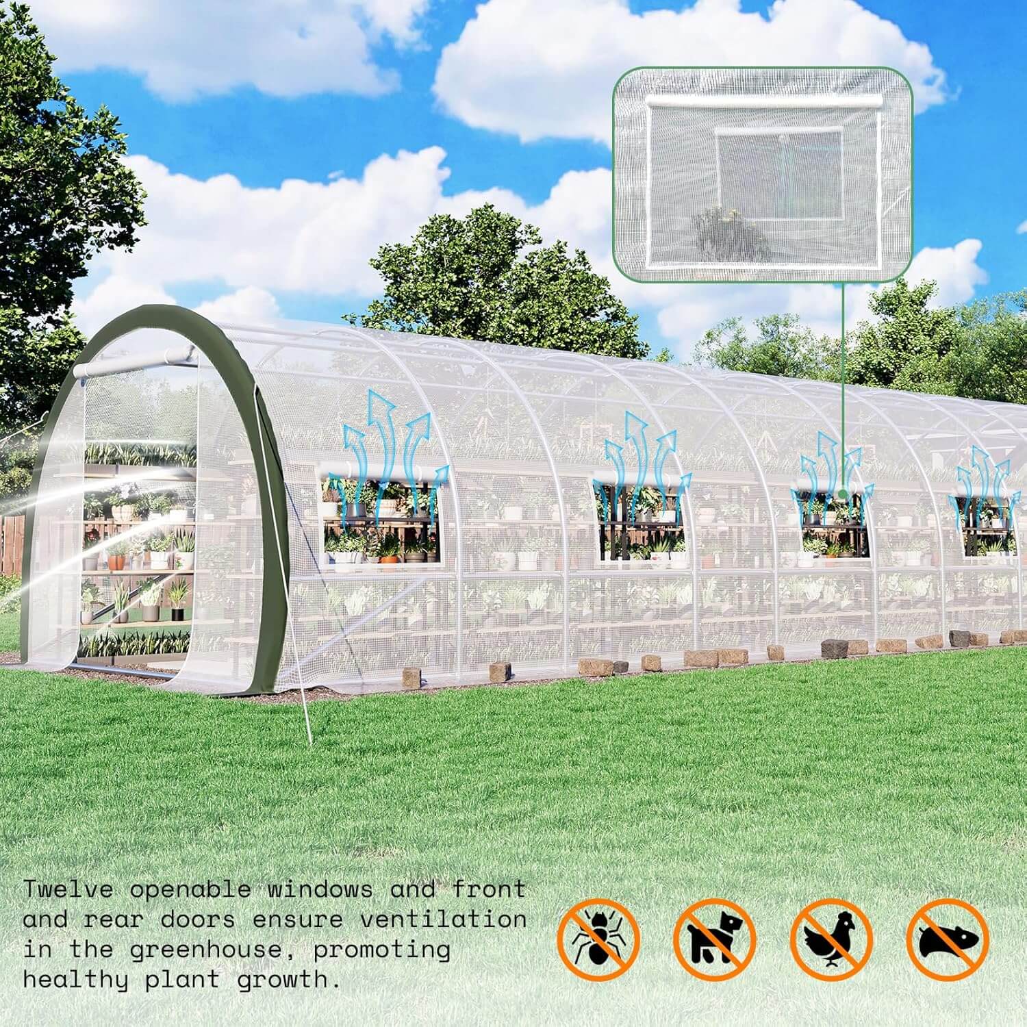 Cedarview Tunnel Greenhouse-36x10x7FT