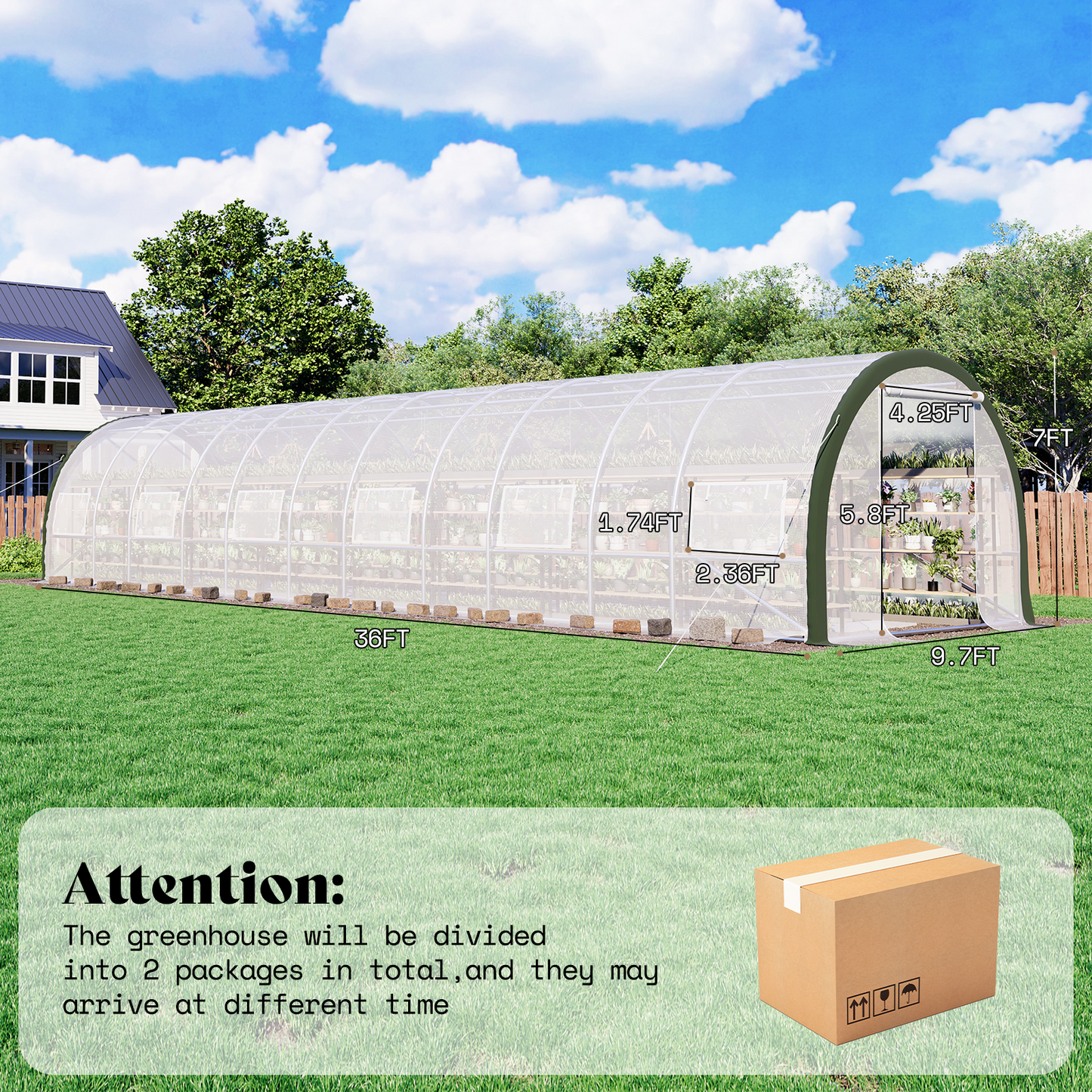 Cedarview Tunnel Greenhouse - 36x10x7FT