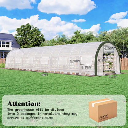 Cedarview Tunnel Greenhouse - 36x10x7FT