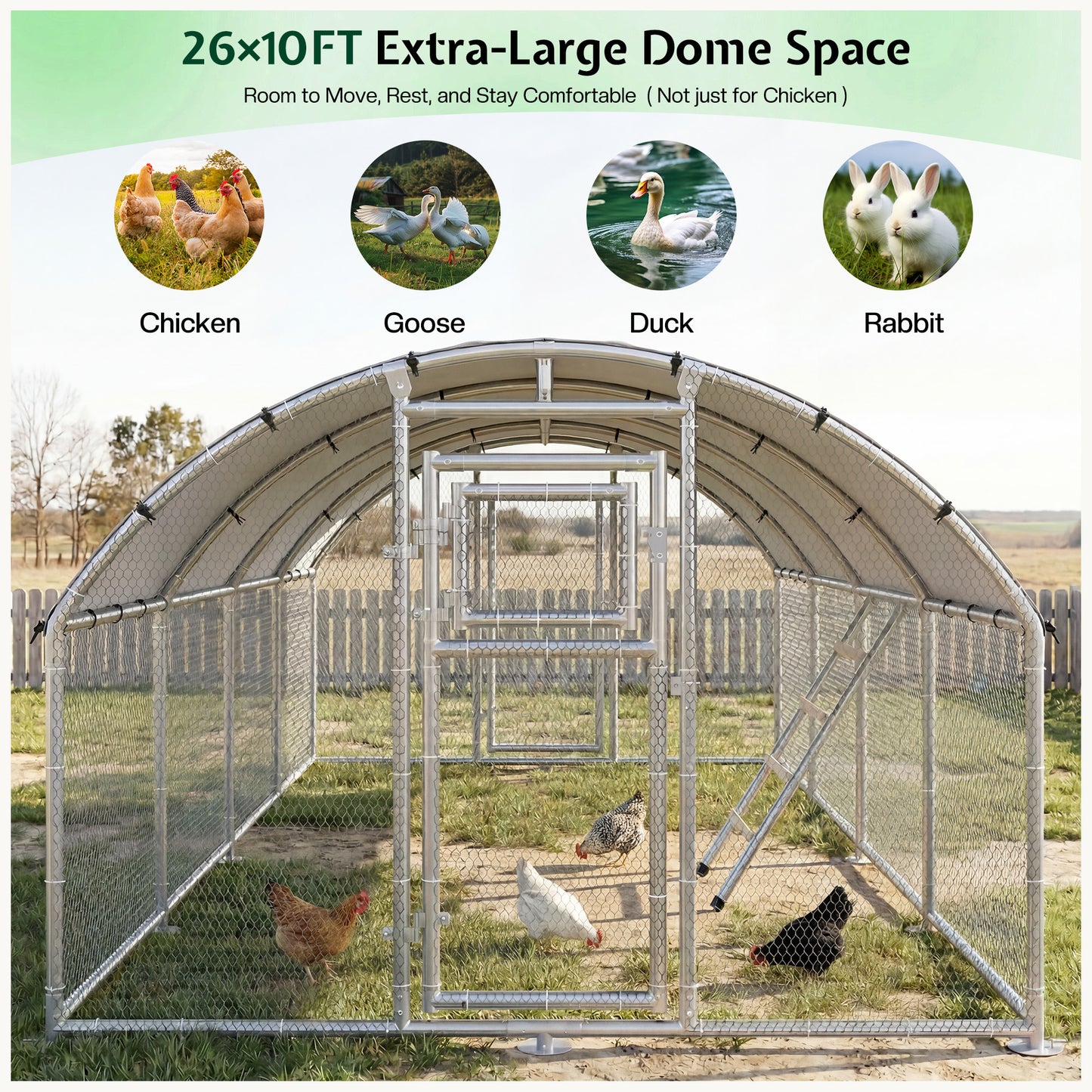 Extra Large Walk-In Chicken Run Amerlife Dome / 26x10 FT