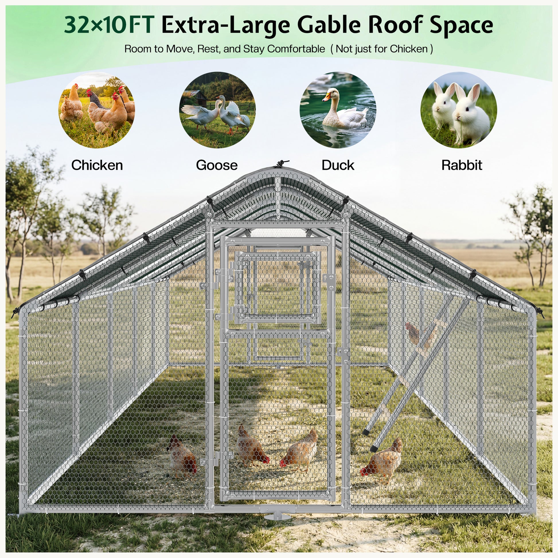 Extra Large Walk-In Chicken Run Amerlife Spire / 32x10 FT