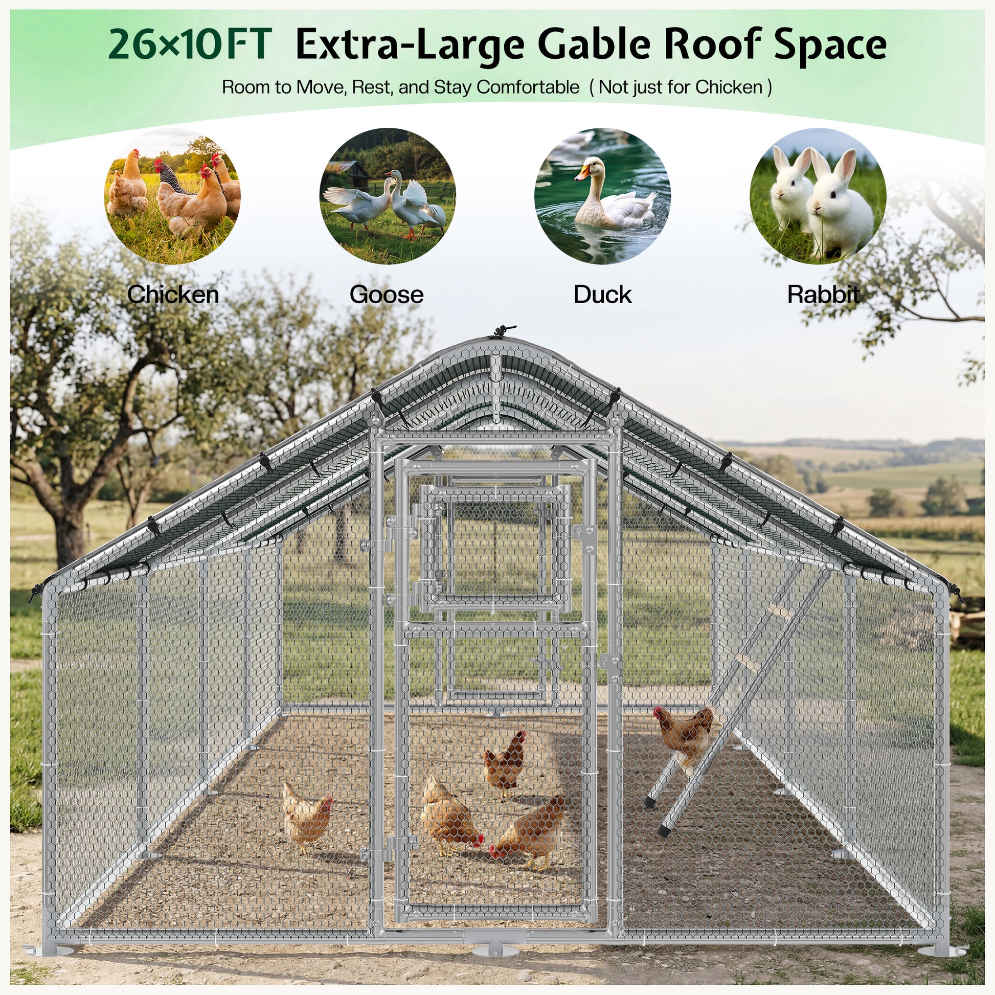 Extra Large Walk-In Chicken Run Amerlife Spire / 26x10 FT
