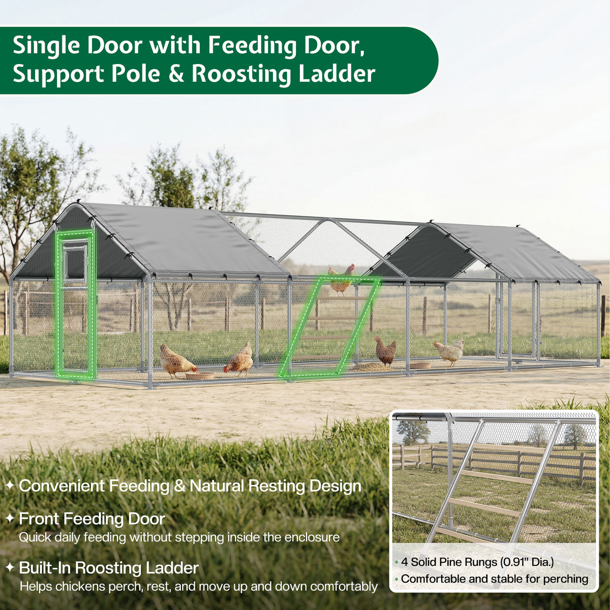 Extra Large Walk-In Chicken Run Amerlife Spire / 26x10 FT