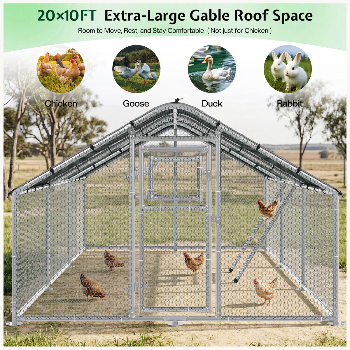 Extra Large Walk-In Chicken Run Amerlife Spire / 20x10 FT