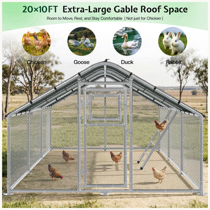Extra Large Walk-In Chicken Run Amerlife Spire / 20x10 FT