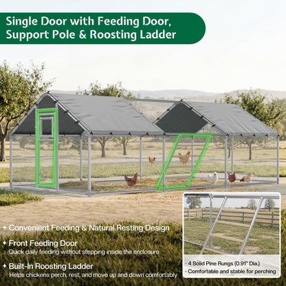 Extra Large Walk-In Chicken Run Amerlife Spire / 20x10 FT